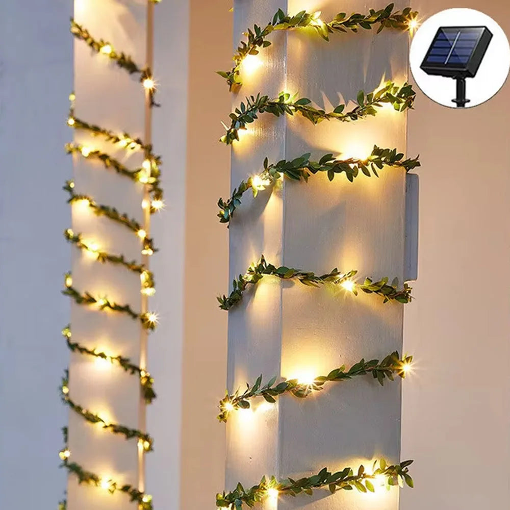 „Magische Nächte – ganz ohne Stromkosten“